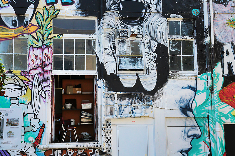 Street Art : New Plymouth : Taranaki : Richard Moore : Journalist : Photographer :